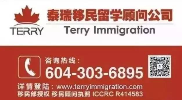 白酒 第542页