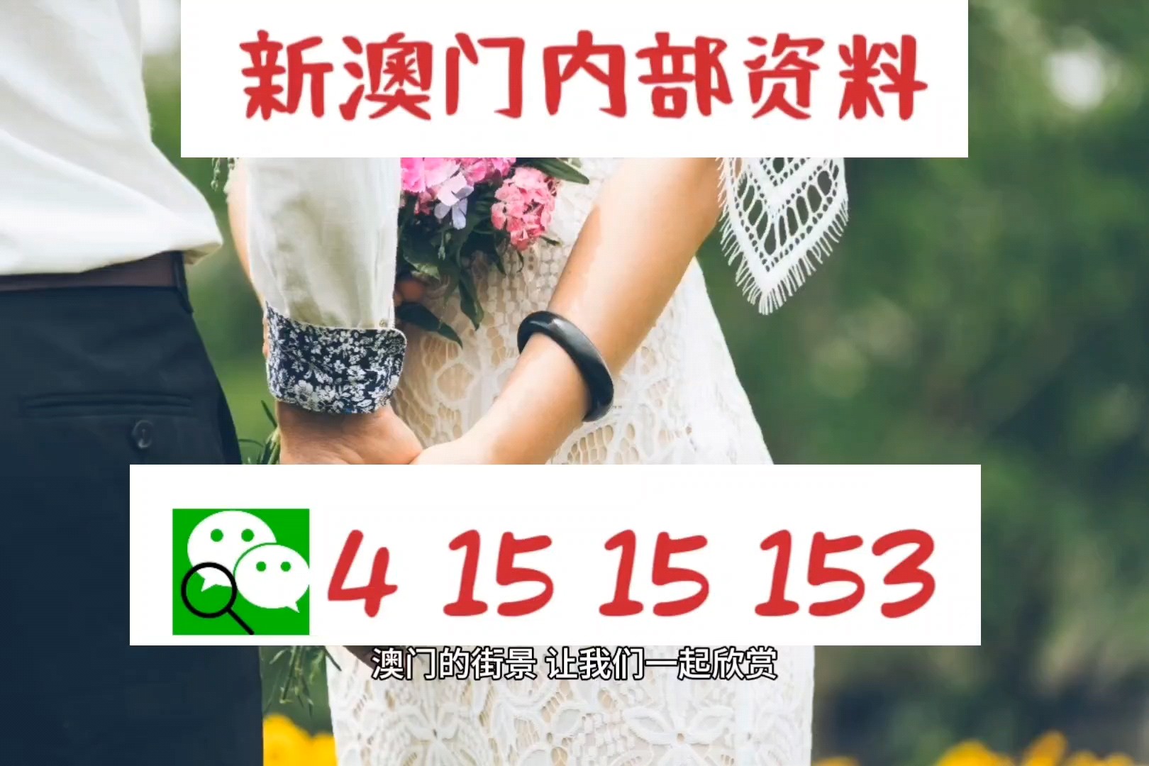 新澳门三中三免费公开,高效运行支持_NHT29.103并行版