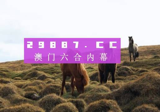 澳门2024年最精准图库,稳固执行方案计划_MMA49.937冒险版