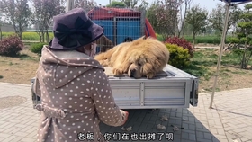 白酒 第476页