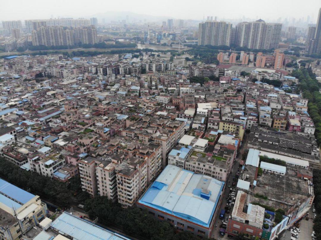 大坦沙岛改造新篇章，日常与友情的幸福小确幸