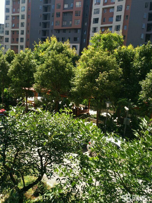 五A添盛坊青稞原浆 第488页