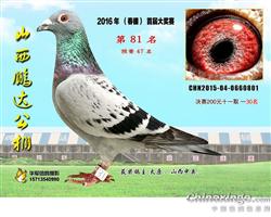 山西绵山公棚最新信息揭秘，高科技产品体验之旅