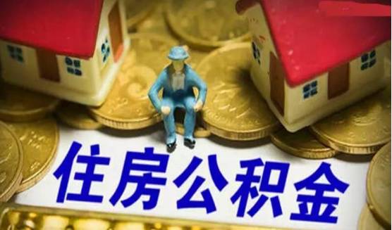 寻找金宁最新消息，步骤指南揭秘最新动态