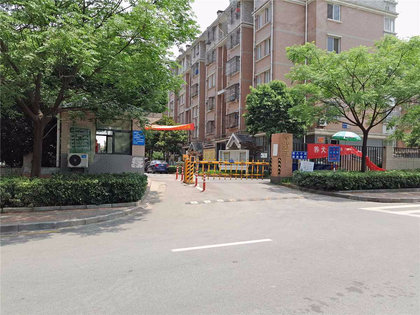 保健品 第446页