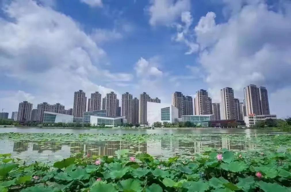三水西南最新招聘资讯速递