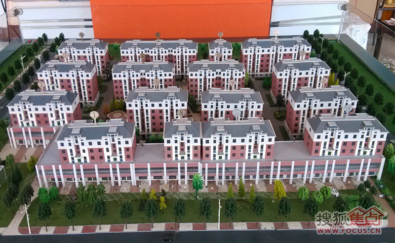 黄岛九龙社区最新动态，温馨日常的点滴记录