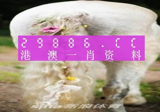 今晚一肖一码澳门一肖四不像,新式数据解释设想_QGM9.601Tablet