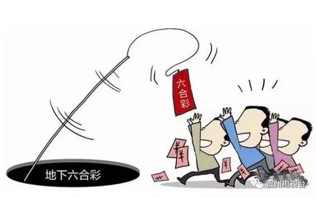 白酒 第414页
