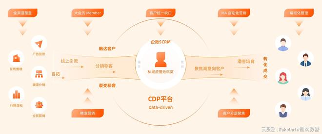 2024全年資料免費大全,深入探讨方案策略_PYJ9.207掌中宝