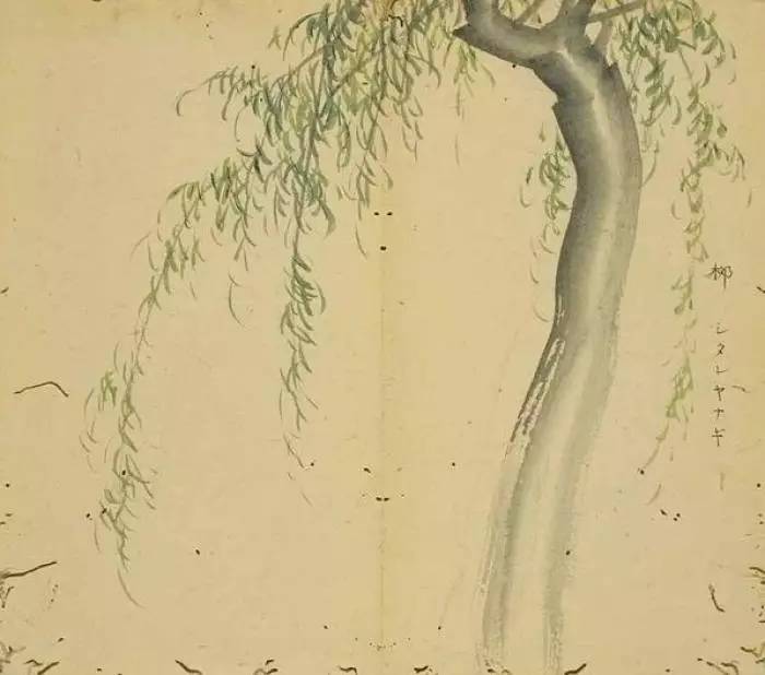 盛夏采薇教你从零开始学手工艺品制作——初学者与进阶的综合指南