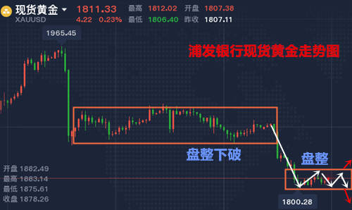 惠泽天下全网资料免费大全,稳固执行战略分析_YJF9.820温馨版