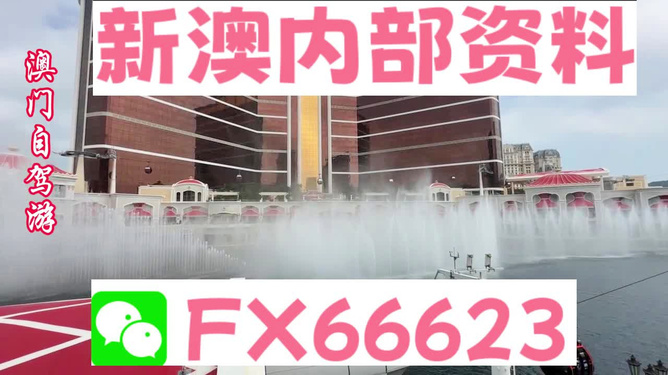 新澳精准资料免费提供,可依赖操作方案_潮流版91.655