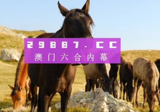 2023管家婆资料正版大全澳门,动态解读分析_最佳版24.764