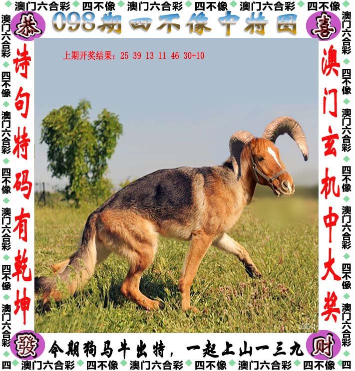 澳门今晚开特325四不像图,全面性解释说明_全景版45.937