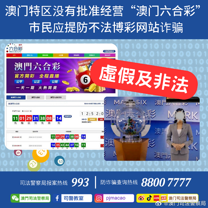 2024新澳门正版免费资料,综合计划评估_交互版64.916