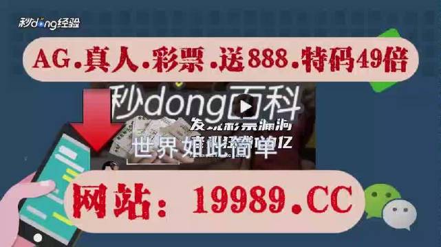 2024新澳门天天开奖免费资料,实地观察数据设计_社交版63.377
