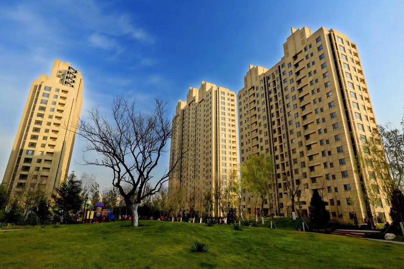 固安帝宝壹号最新价格动态，价值变化与自我成就的学习之旅