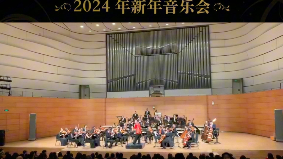2024最新音乐