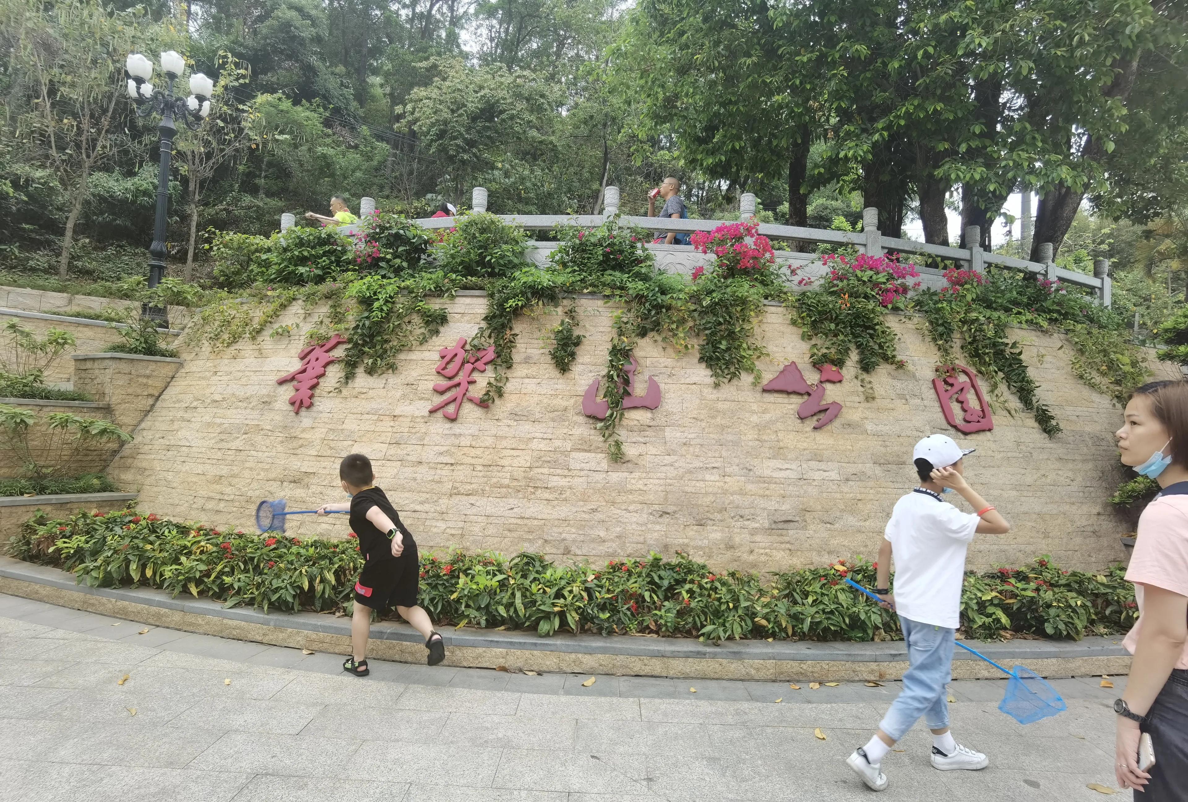 银湖立交最新动态及进展报告🚦🌈