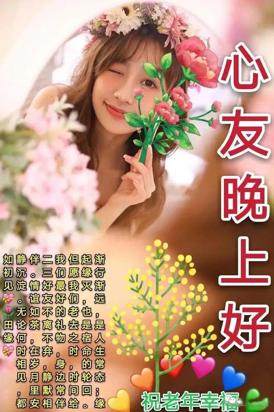 最新问候表情💖，解锁温暖社交，展现全新问候姿势！