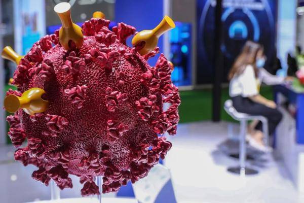 法国病毒最新，一场意外的温馨之旅探索