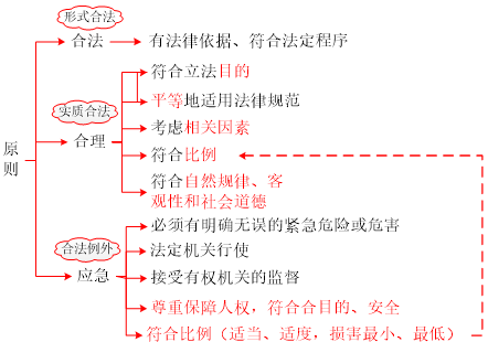 最新性原则，引领时代潮流，拥抱变化的力量