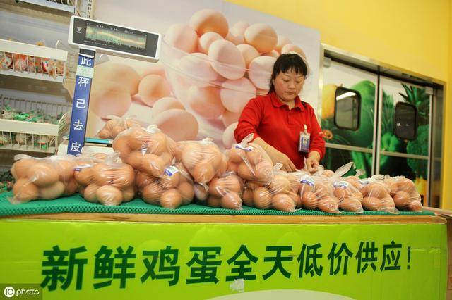 牧鸡蛋价格行情分析与预测