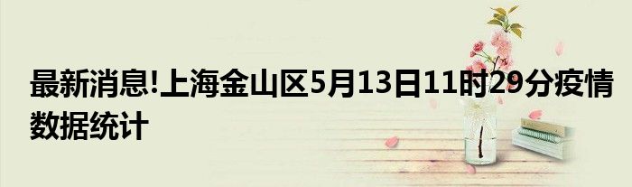 最新金山疫情动态，疫情下的温馨日常观察