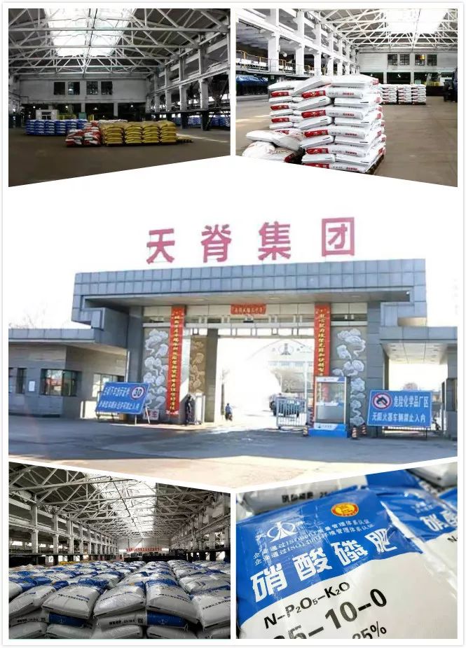 天脊硝酸磷肥最新价格，探寻自然美景之旅的必备资讯