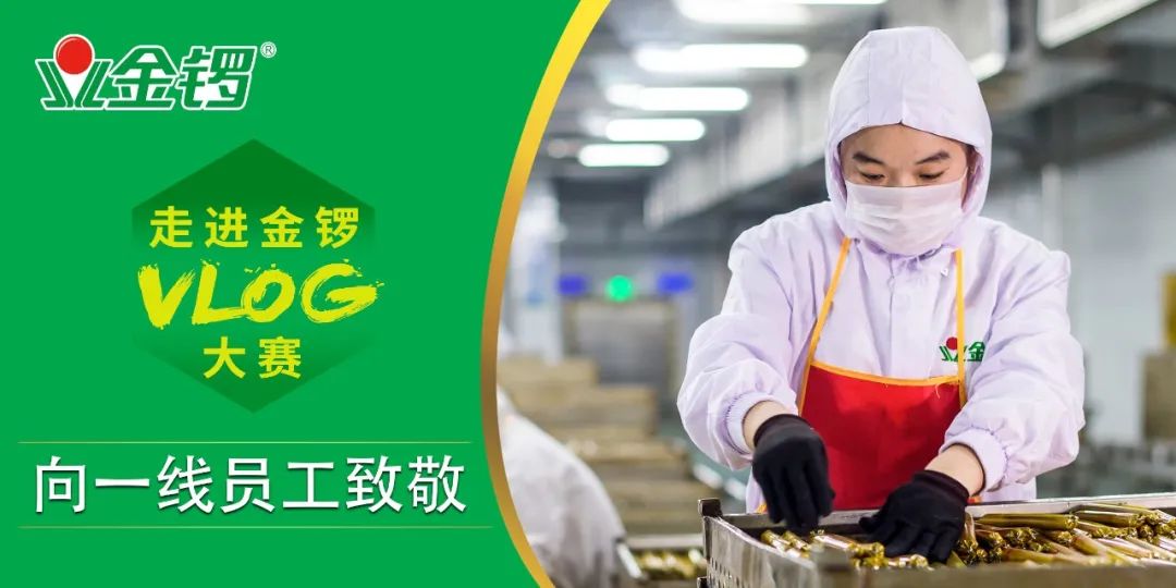 临邑金锣最新职位招聘启事及招聘信息概览
