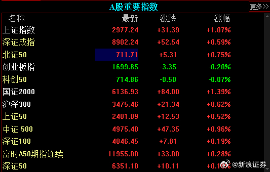洪灏最新股市预测，领航未来市场走向的洞察者