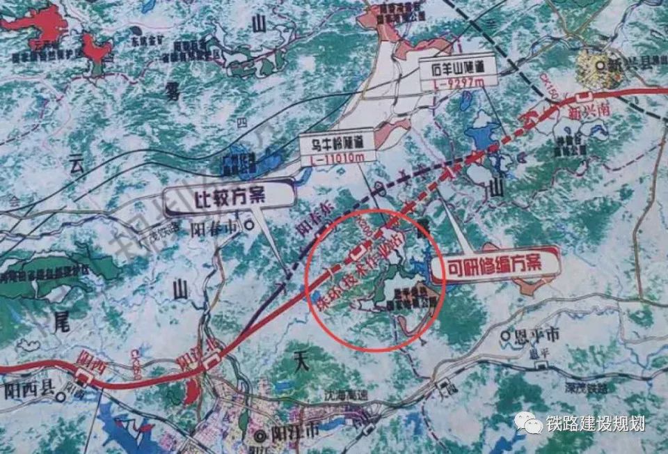 白酒 第239页