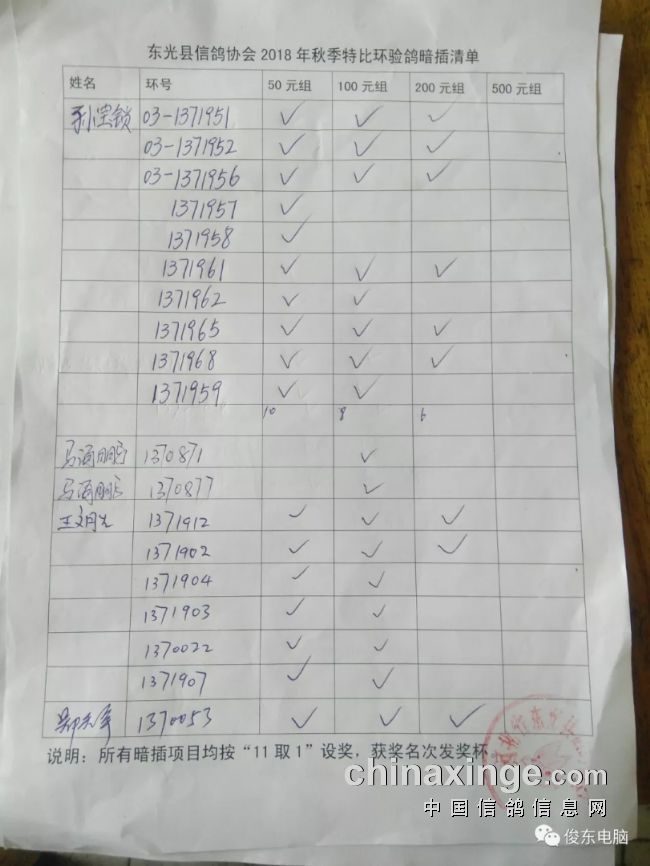 东光天宇鸽舍最新发布及任务参与指南，学习如何完成任务攻略