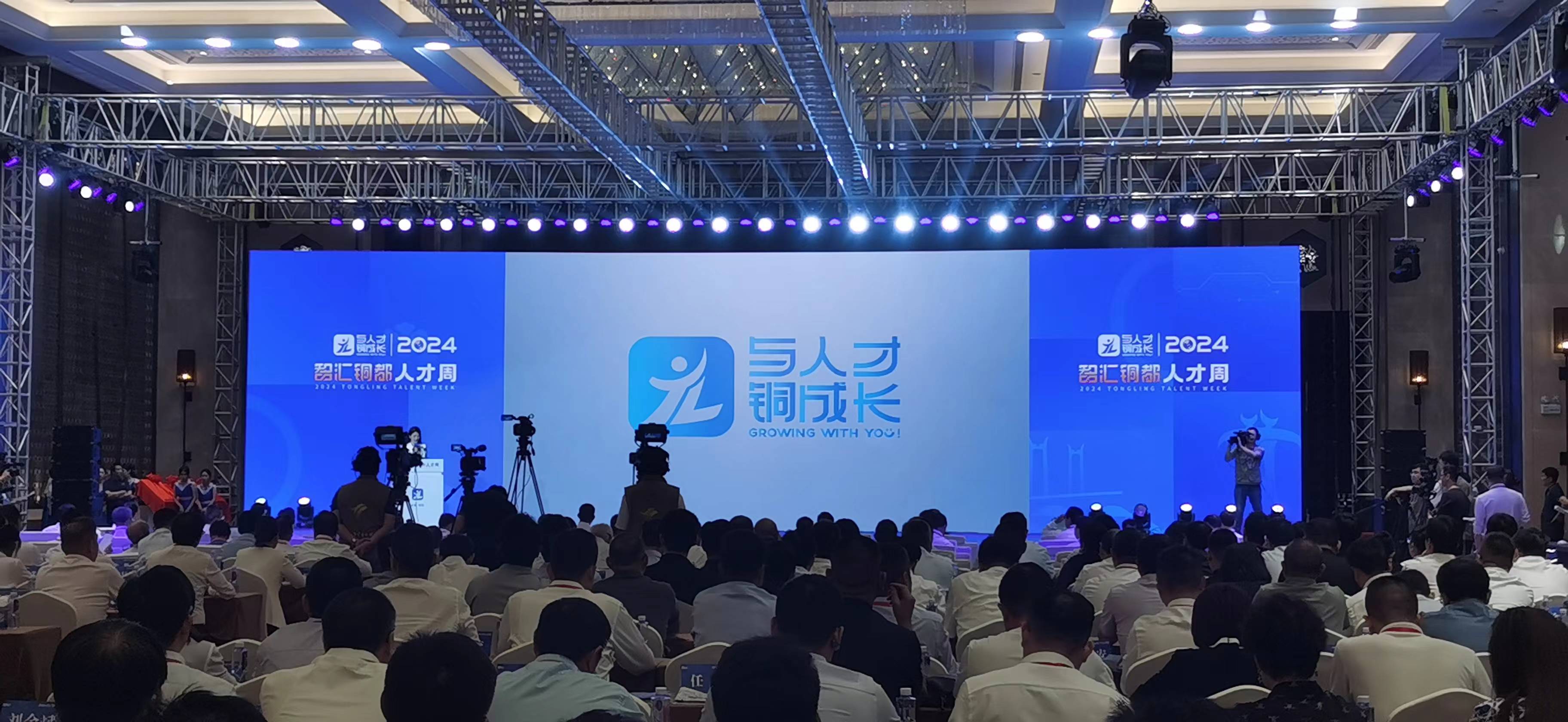 铜陵人才市场最新招聘，企业需求与个人发展的多维视角探讨