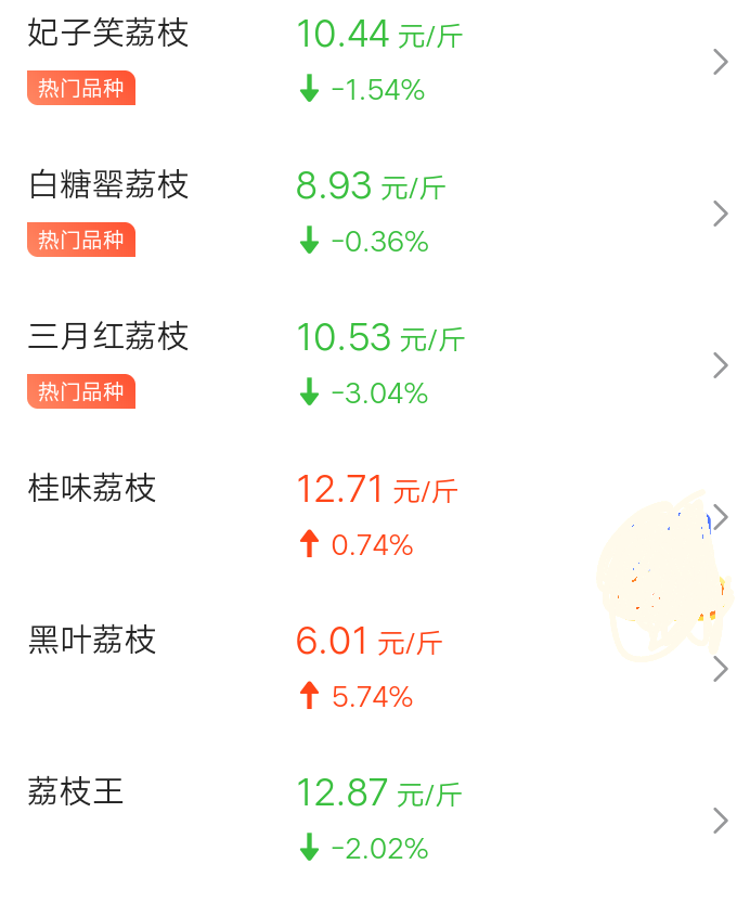 荔枝最新价，甜蜜果实的友情之旅启程
