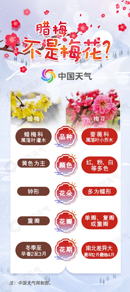 梅花井的历史背景、重要事件与时代地位探究，最新追溯