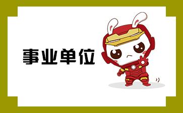 叙永最新公告发布，引领科技潮流的高科技产品介绍