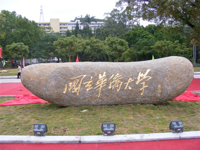 华大最新探究，价值、影响及我的观点分析