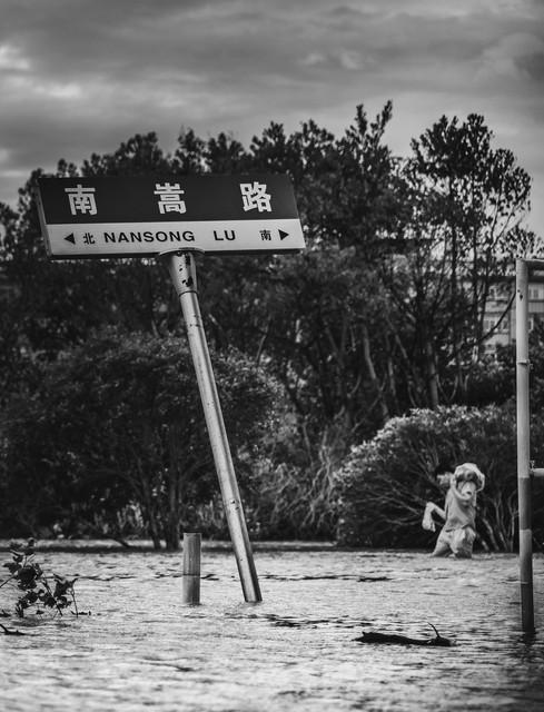 台风XX最新动态，影响分析及其进展