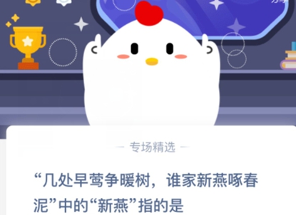 蚂蚁庄园今日答案最新脸，重塑自信，开启梦想新篇章